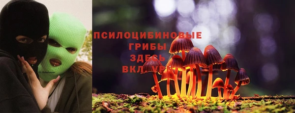 марки nbome Нязепетровск