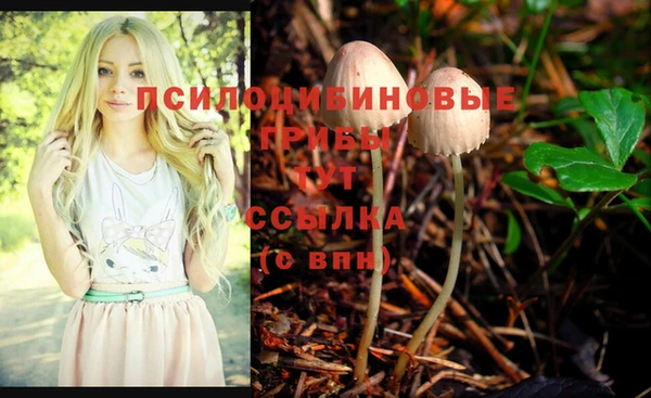 марки nbome Нязепетровск